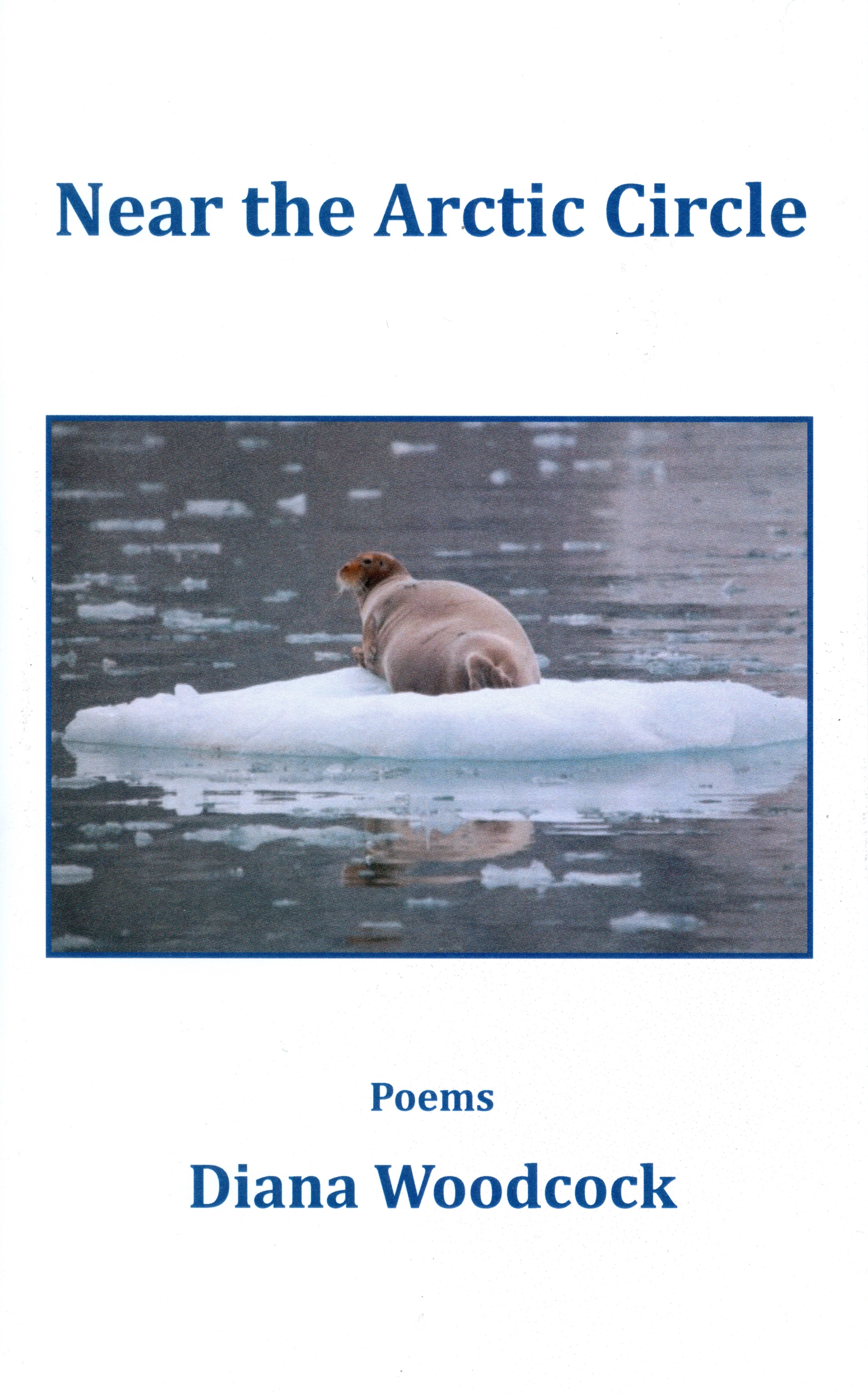 Book cover of NEAR THE ARCTIC CIRCLE by Dr. Diana Woodcock features a seal floating on a raft piece of ice.